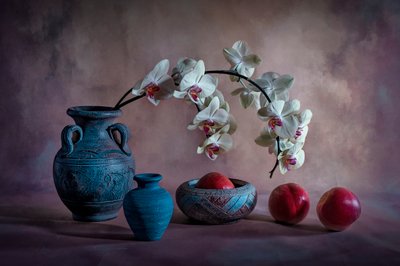 Elegante natureza-morta com orquídeas de Lydia Jacobs
