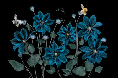 Jardim azul etéreo de Lydia Jacobs
