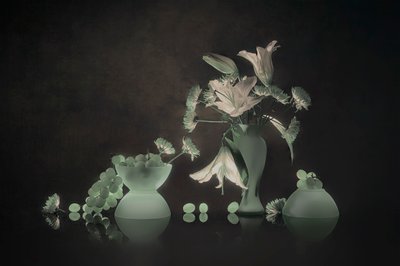 Lírios luminosos e uvas de Lydia Jacobs