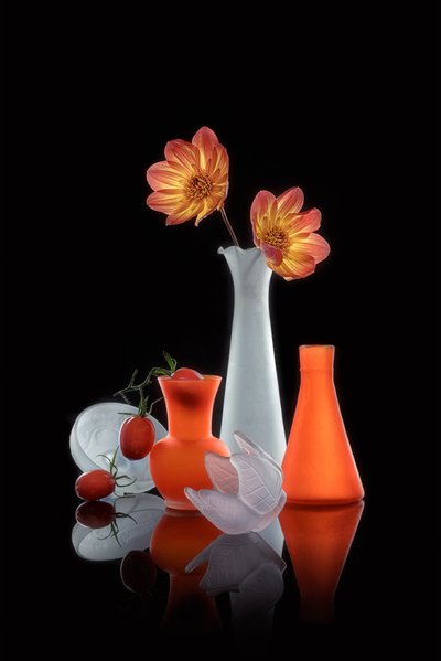 Natureza-morta luminosa com vasos de Lydia Jacobs