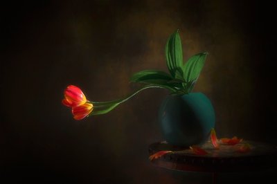 Natureza-morta com elegantes tulipas de Lydia Jacobs