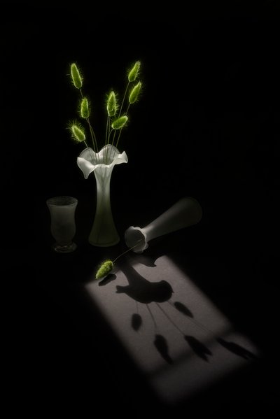Plantas verdes, sombra de pássaro de Lydia Jacobs
