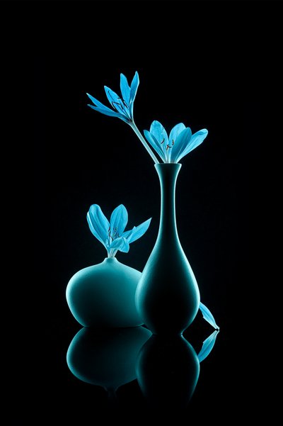 Natureza-morta azul luminosa de Lydia Jacobs