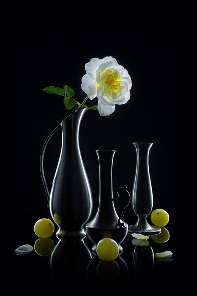 Rosa luminosa e jarras de Lydia Jacobs