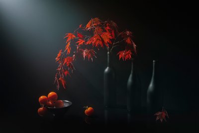 Natureza-morta outonal melancólica de Lydia Jacobs