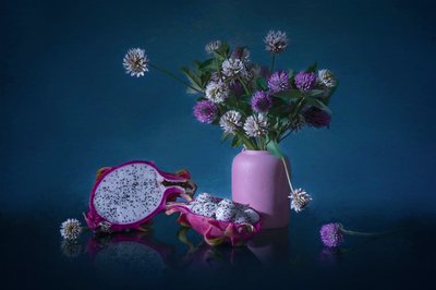 Flores melancólicas de pitaia de Lydia Jacobs