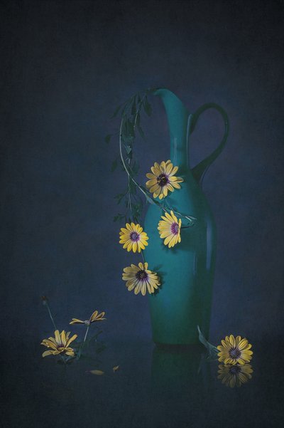 Natureza-morta floral melancólica de Lydia Jacobs