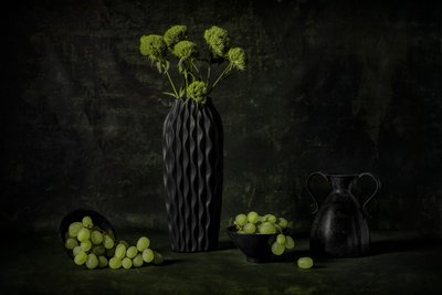 Uvas e flores melancólicas de Lydia Jacobs
