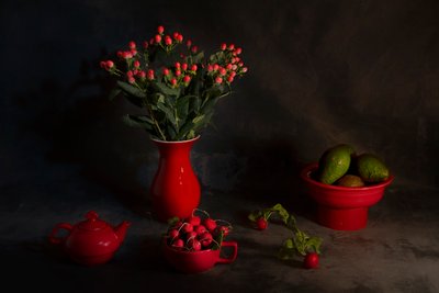 Natureza-morta vermelha melancólica de Lydia Jacobs