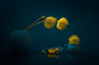 Flores amarelas melancólicas de Lydia Jacobs