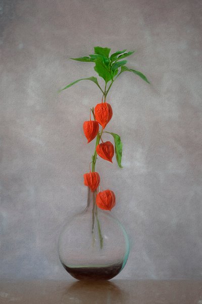 Jarra com lanternas cor de laranja de Lydia Jacobs