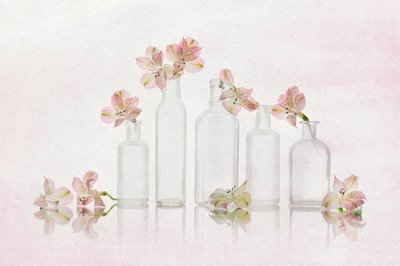 Flores cor-de-rosa e vidro de Lydia Jacobs