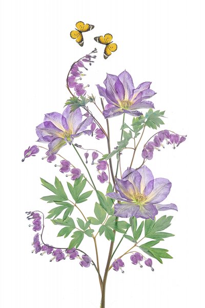 Flores roxas e borboletas de Lydia Jacobs