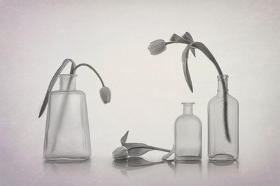 Natureza-morta serena com tulipas de Lydia Jacobs