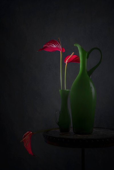 Antúrios vermelhos, vasos verdes de Lydia Jacobs