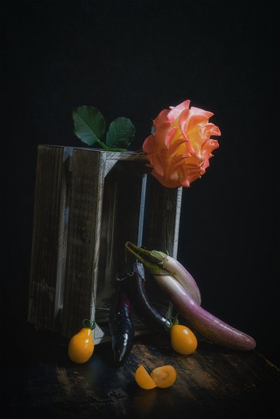 Natureza-morta com rosas e produtos de Lydia Jacobs