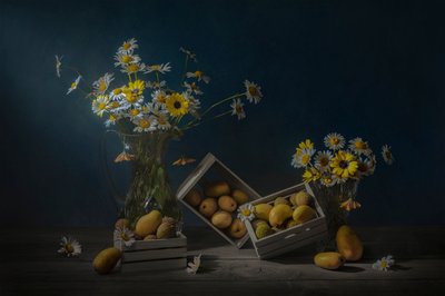 Fruta e flores rústicas de Lydia Jacobs
