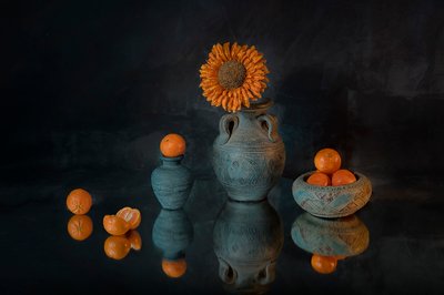 Girassol vibrante, tangerinas de Lydia Jacobs