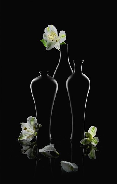 Flores brancas, vasos escuros de Lydia Jacobs