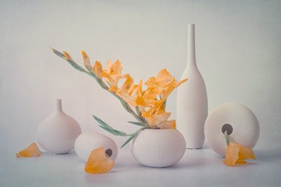 Flores amarelas e vasos brancos de Lydia Jacobs