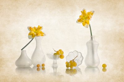 Narcisos amarelos e uvas de Lydia Jacobs