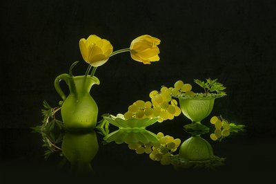 Túlipas amarelas, uvas verdes de Lydia Jacobs