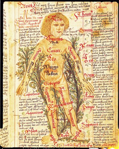 Influência das estrelas nas doenças do corpo humano, do Tractatus de Pestilencia de M, Albik