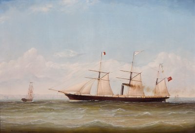 ss ocidental (óleo sobre tela do ss ocidental) de M. McLachlan