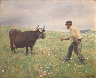 Uma vaca solta de M. Therkildsen