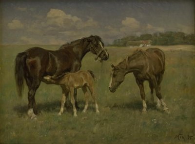 Três cavalos em um campo de M. Therkildsen