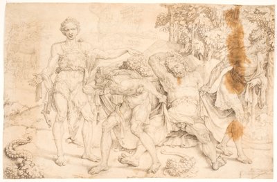 Noa zomba de Kam de Maarten van Heemskerck