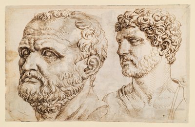 Duas cabeças de estátuas antigas de Maarten van Heemskerck