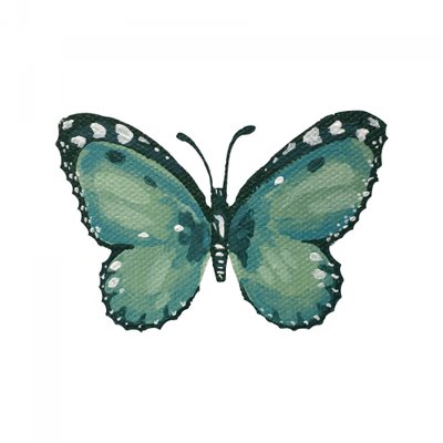 Borboleta azul-petróleo elegante de Madison Phipps