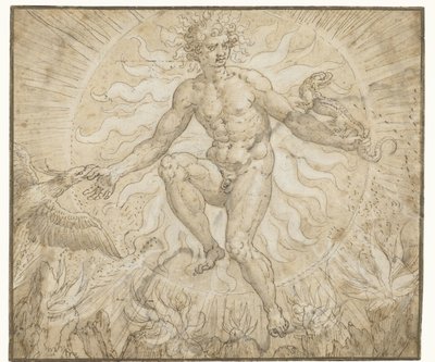 Ignis Quatro elementos (título da série) de Maerten de Vos