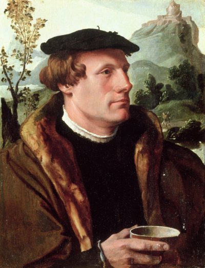 Retrato de um cavalheiro de Maerten van Heemskerck