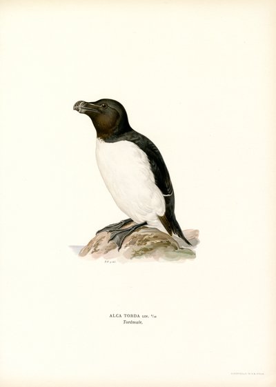 Navalha (cor litho) de Magnus Ferdinand and Wilhelm von Wright
