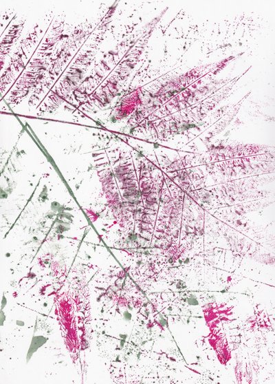 Folhas de feto abstratas de Maira Ribena