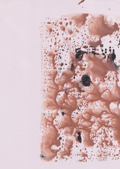 Fluxo Orgânico Abstrato de Maira Ribena