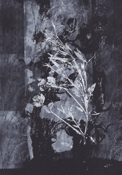 Natureza Negra de Maira Ribena