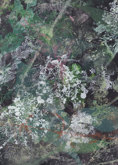 Abstrato floral escuro de Maira Ribena