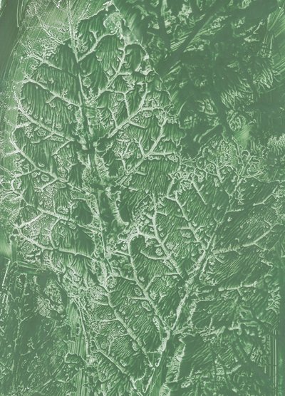 Textura de folha verde-escura de Maira Ribena