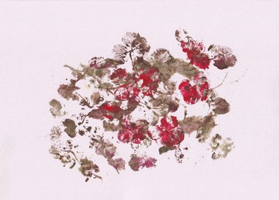 Impressões florais terrosas de Maira Ribena