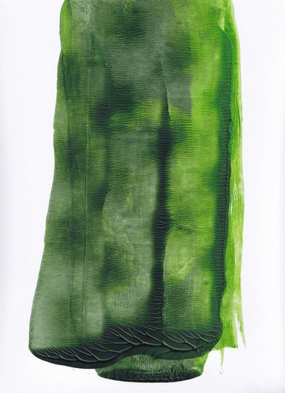Resumo de Fluid Green de Maira Ribena