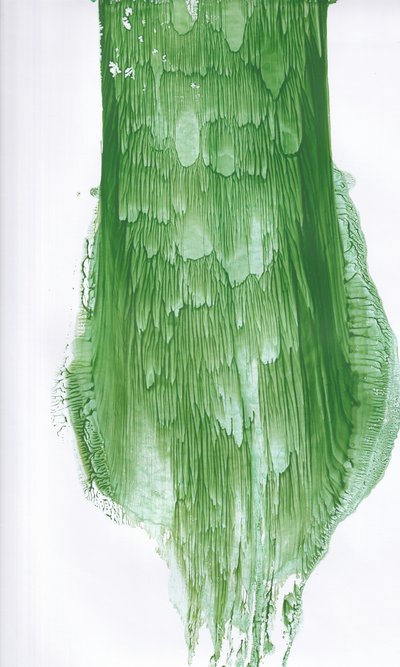 Resumo de Fluid Green de Maira Ribena