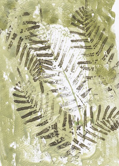 Impressões de Green Fern de Maira Ribena