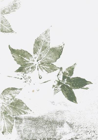 Impressões da Green Leaf de Maira Ribena