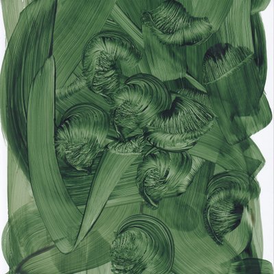 Espirais de um verde exuberante de Maira Ribena