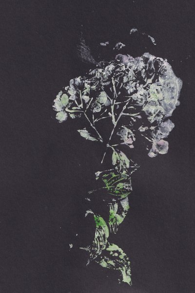 Impressão Floral Moody de Maira Ribena