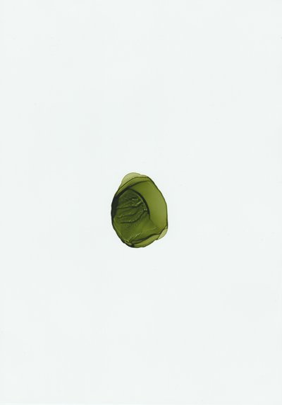 Fluido Verde Orgânico de Maira Ribena
