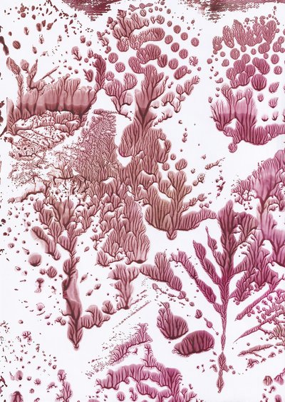Fluxo Marrom Orgânico de Maira Ribena
